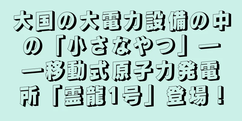 大国の大電力設備の中の「小さなやつ」――移動式原子力発電所「霊龍1号」登場！