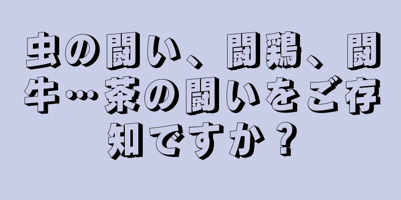 虫の闘い、闘鶏、闘牛…茶の闘いをご存知ですか？