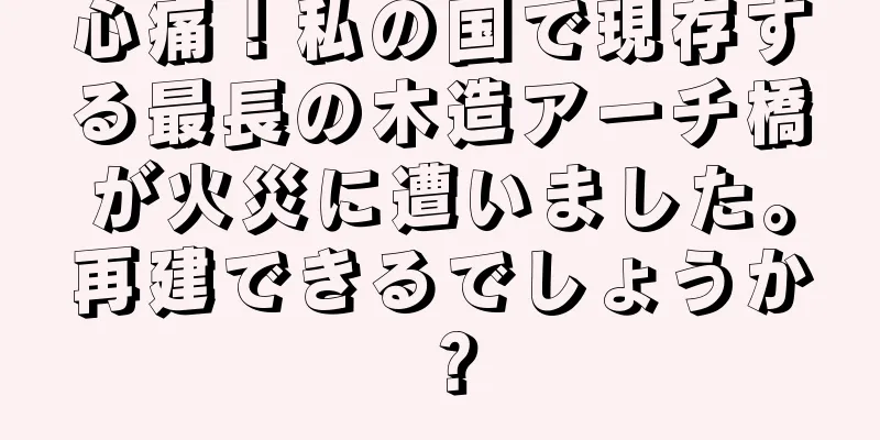 心痛！私の国で現存する最長の木造アーチ橋が火災に遭いました。再建できるでしょうか？