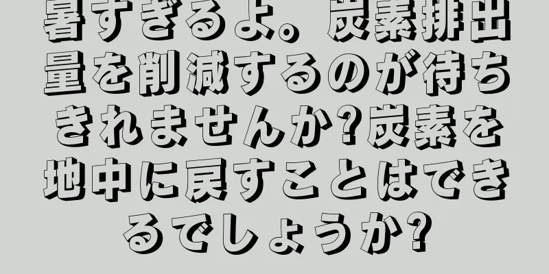 暑すぎるよ。炭素排出量を削減するのが待ちきれませんか?炭素を地中に戻すことはできるでしょうか?