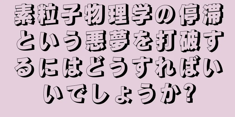 素粒子物理学の停滞という悪夢を打破するにはどうすればいいでしょうか?