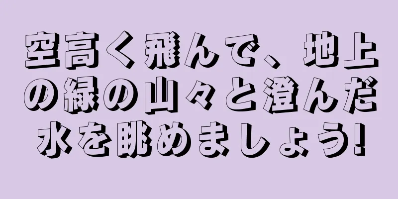 空高く飛んで、地上の緑の山々と澄んだ水を眺めましょう!