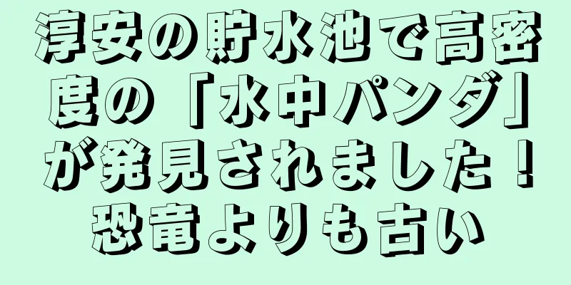淳安の貯水池で高密度の「水中パンダ」が発見されました！恐竜よりも古い