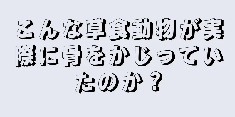 こんな草食動物が実際に骨をかじっていたのか？