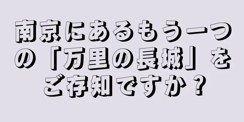 南京にあるもう一つの「万里の長城」をご存知ですか？