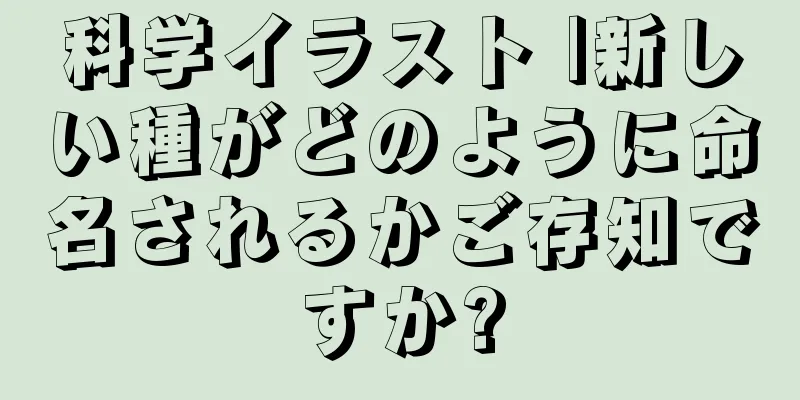 科学イラスト |新しい種がどのように命名されるかご存知ですか?