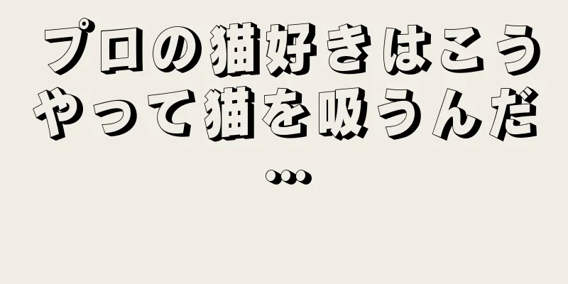 プロの猫好きはこうやって猫を吸うんだ…