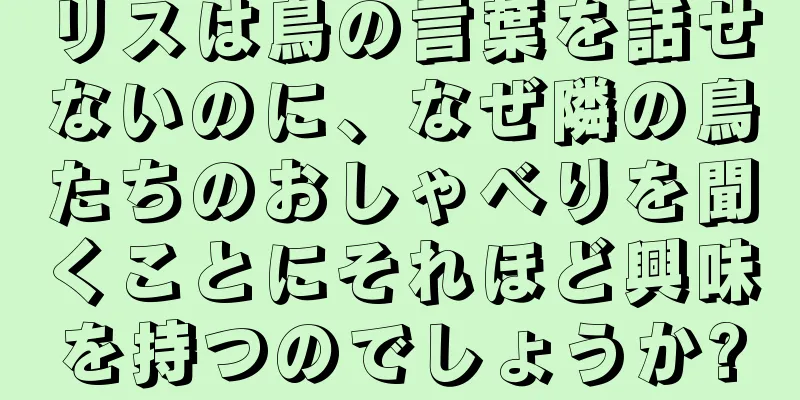 リスは鳥の言葉を話せないのに、なぜ隣の鳥たちのおしゃべりを聞くことにそれほど興味を持つのでしょうか?