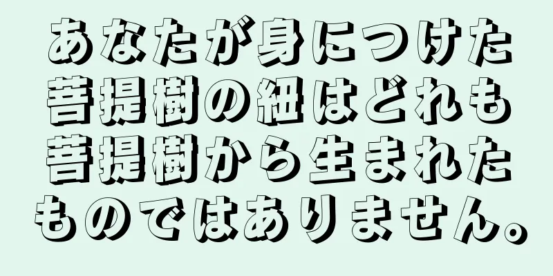 あなたが身につけた菩提樹の紐はどれも菩提樹から生まれたものではありません。