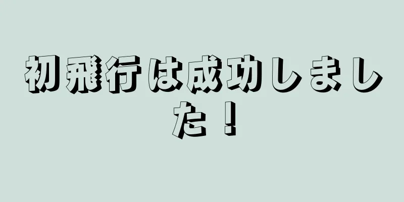 初飛行は成功しました！