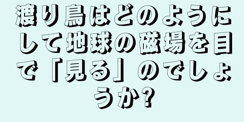 渡り鳥はどのようにして地球の磁場を目で「見る」のでしょうか?