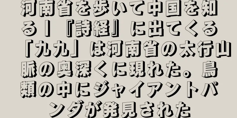 河南省を歩いて中国を知る丨『詩経』に出てくる「九九」は河南省の太行山脈の奥深くに現れた。鳥類の中にジャイアントパンダが発見された