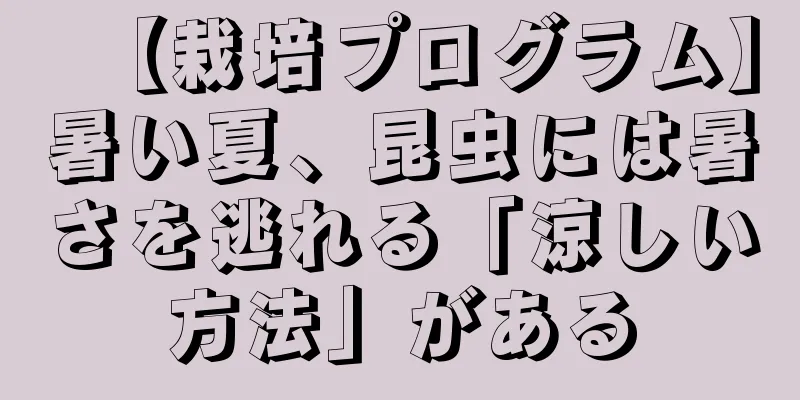 【栽培プログラム】暑い夏、昆虫には暑さを逃れる「涼しい方法」がある
