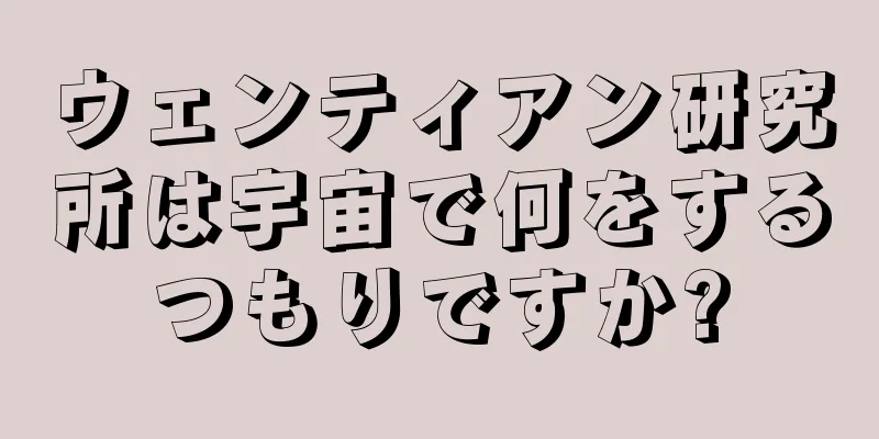ウェンティアン研究所は宇宙で何をするつもりですか?