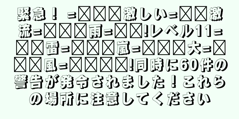 緊急！ =͟͟͞激しい=͟͟激流=͟͟͞雨=͟͟!レベル11=͟͟雷=͟͟͞嵐=͟͟͞大=͟͟͞風=͟͟͞͞!同時に60件の警告が発令されました！これらの場所に注意してください
