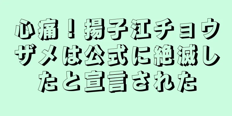 心痛！揚子江チョウザメは公式に絶滅したと宣言された