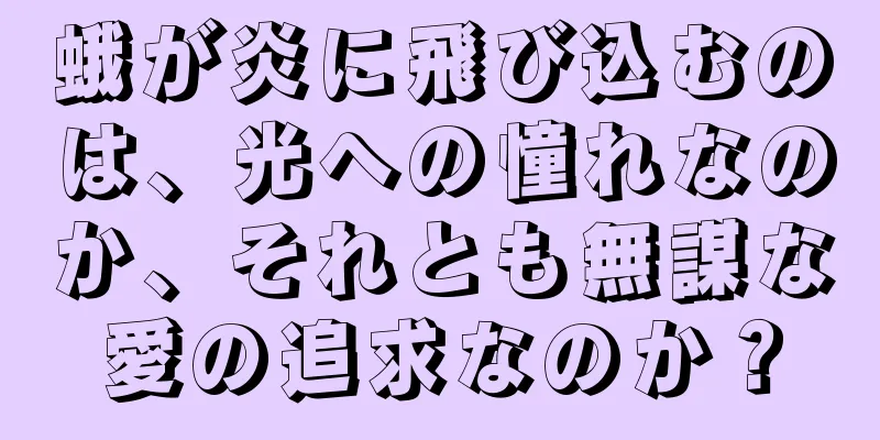 蛾が炎に飛び込むのは、光への憧れなのか、それとも無謀な愛の追求なのか？