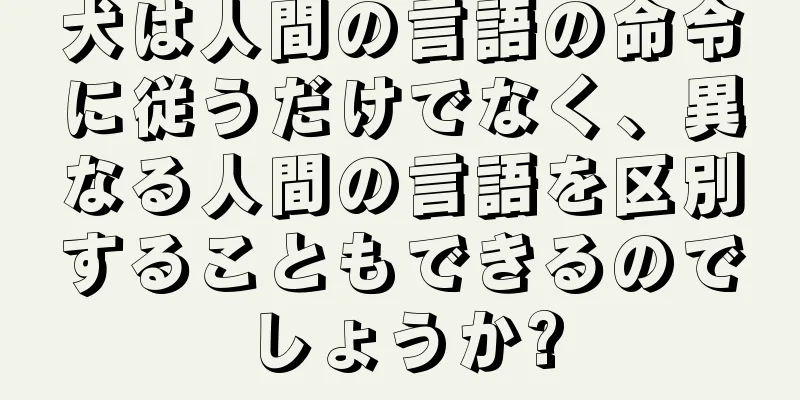 犬は人間の言語の命令に従うだけでなく、異なる人間の言語を区別することもできるのでしょうか?