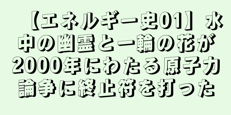 【エネルギー史01】水中の幽霊と一輪の花が2000年にわたる原子力論争に終止符を打った