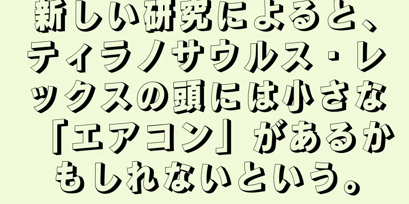 新しい研究によると、ティラノサウルス・レックスの頭には小さな「エアコン」があるかもしれないという。