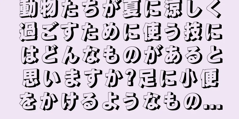 動物たちが夏に涼しく過ごすために使う技にはどんなものがあると思いますか?足に小便をかけるようなもの...