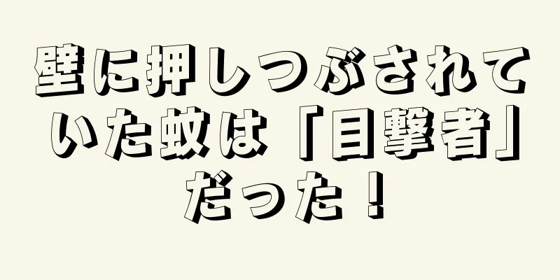 壁に押しつぶされていた蚊は「目撃者」だった！