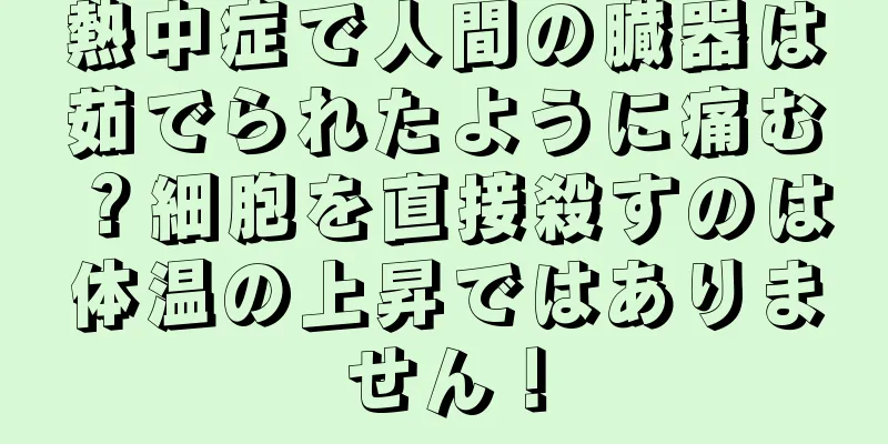 熱中症で人間の臓器は茹でられたように痛む？細胞を直接殺すのは体温の上昇ではありません！