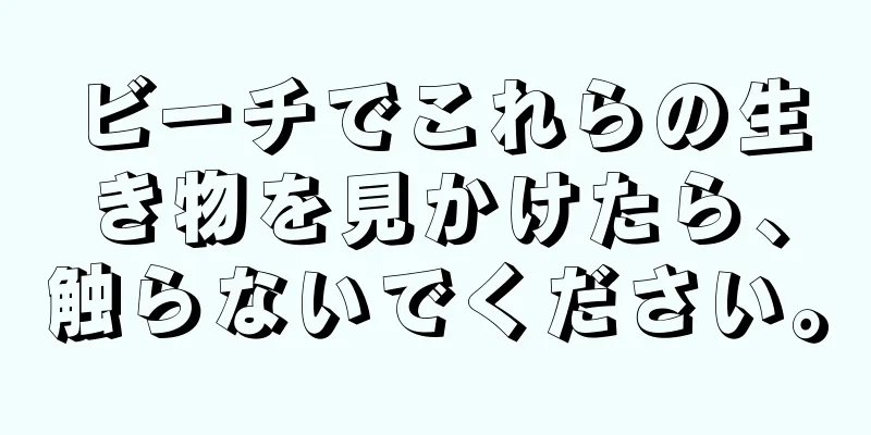 ビーチでこれらの生き物を見かけたら、触らないでください。