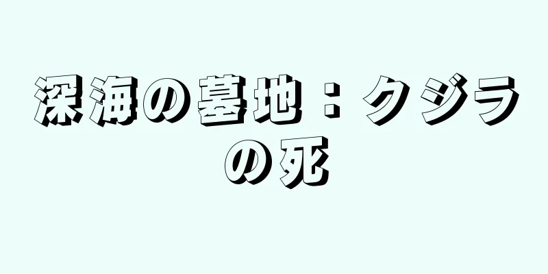 深海の墓地：クジラの死