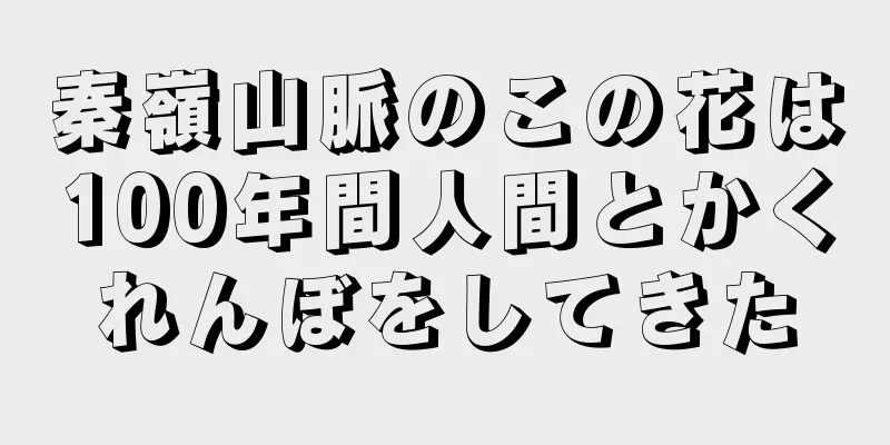 秦嶺山脈のこの花は100年間人間とかくれんぼをしてきた