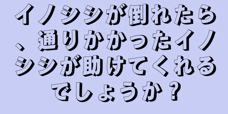 イノシシが倒れたら、通りかかったイノシシが助けてくれるでしょうか？