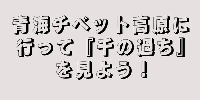 青海チベット高原に行って『千の過ち』を見よう！