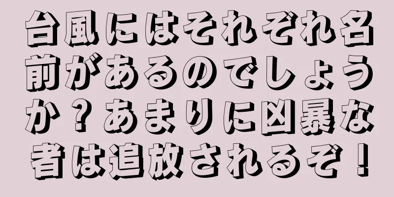 台風にはそれぞれ名前があるのでしょうか？あまりに凶暴な者は追放されるぞ！