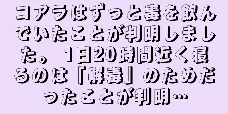 コアラはずっと毒を飲んでいたことが判明しました。 1日20時間近く寝るのは「解毒」のためだったことが判明…