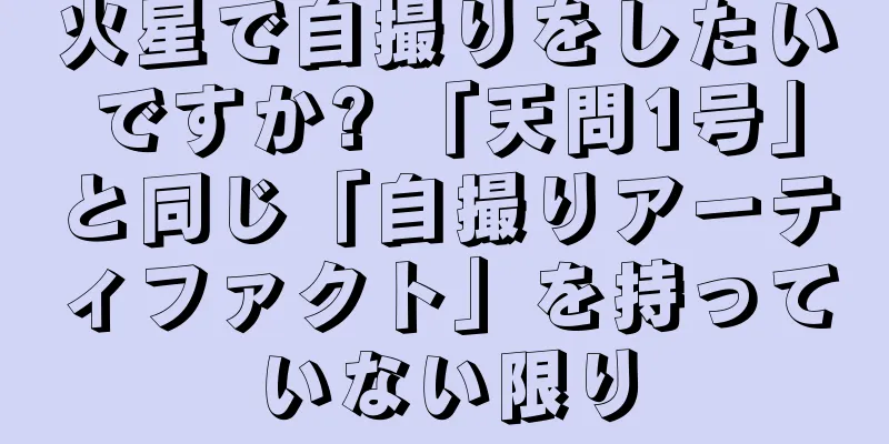 火星で自撮りをしたいですか? 「天問1号」と同じ「自撮りアーティファクト」を持っていない限り