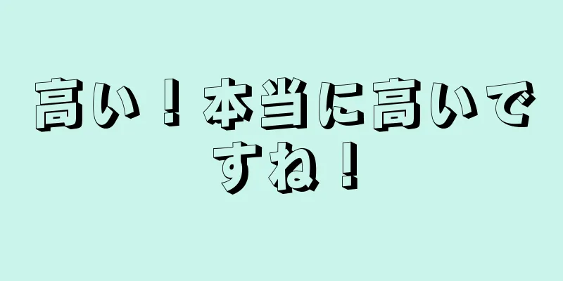 高い！本当に高いですね！
