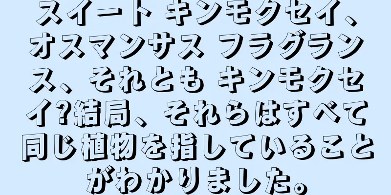 スイート キンモクセイ、オスマンサス フラグランス、それとも キンモクセイ?結局、それらはすべて同じ植物を指していることがわかりました。