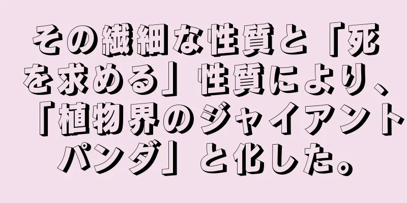 その繊細な性質と「死を求める」性質により、「植物界のジャイアントパンダ」と化した。