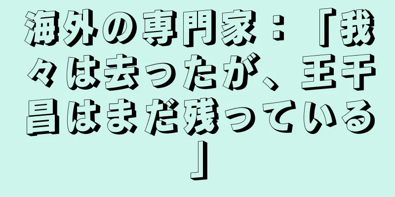 海外の専門家：「我々は去ったが、王干昌はまだ残っている」