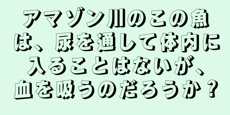 アマゾン川のこの魚は、尿を通して体内に入ることはないが、血を吸うのだろうか？