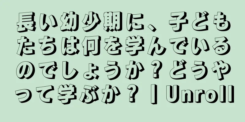 長い幼少期に、子どもたちは何を学んでいるのでしょうか？どうやって学ぶか？丨Unroll