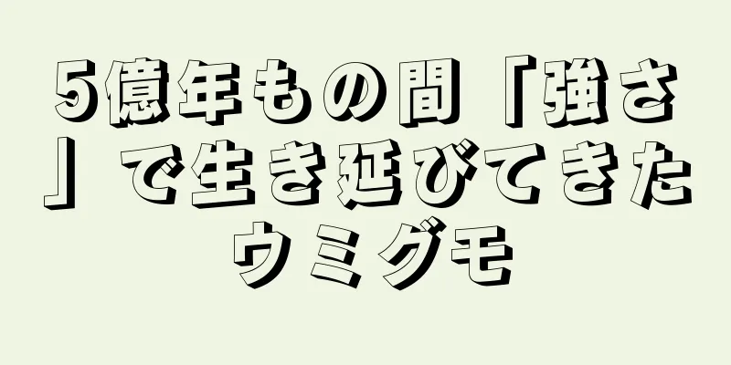 5億年もの間「強さ」で生き延びてきたウミグモ