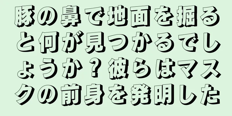豚の鼻で地面を掘ると何が見つかるでしょうか？彼らはマスクの前身を発明した