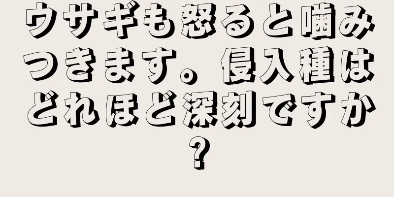 ウサギも怒ると噛みつきます。侵入種はどれほど深刻ですか?
