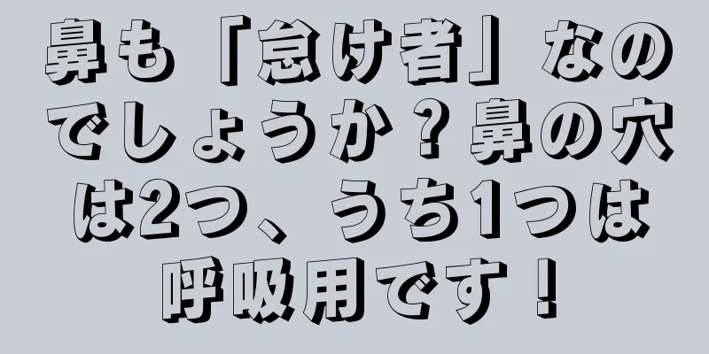 鼻も「怠け者」なのでしょうか？鼻の穴は2つ、うち1つは呼吸用です！