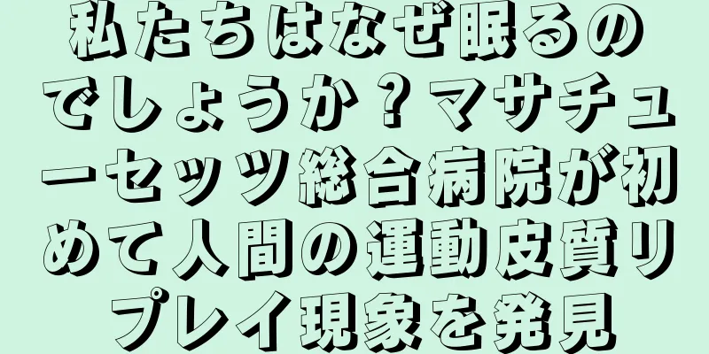 私たちはなぜ眠るのでしょうか？マサチューセッツ総合病院が初めて人間の運動皮質リプレイ現象を発見