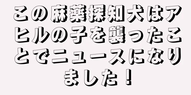 この麻薬探知犬はアヒルの子を襲ったことでニュースになりました！