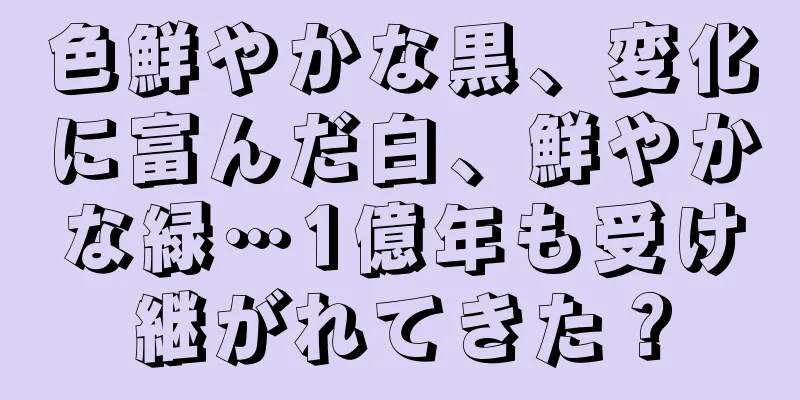 色鮮やかな黒、変化に富んだ白、鮮やかな緑…1億年も受け継がれてきた？