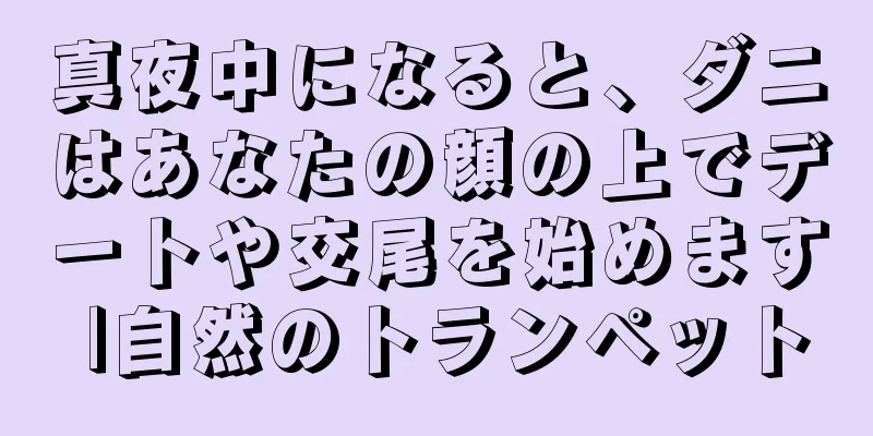 真夜中になると、ダニはあなたの顔の上でデートや交尾を始めます |自然のトランペット