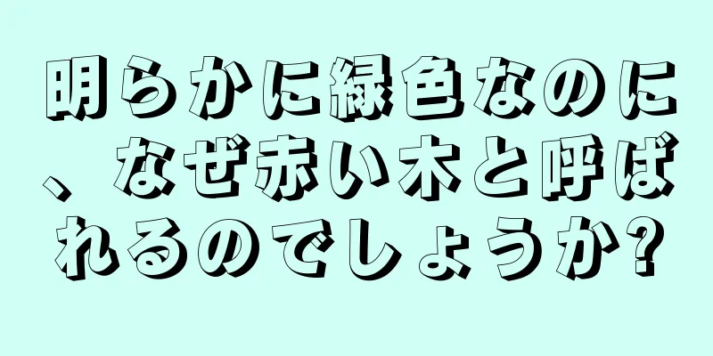 明らかに緑色なのに、なぜ赤い木と呼ばれるのでしょうか?